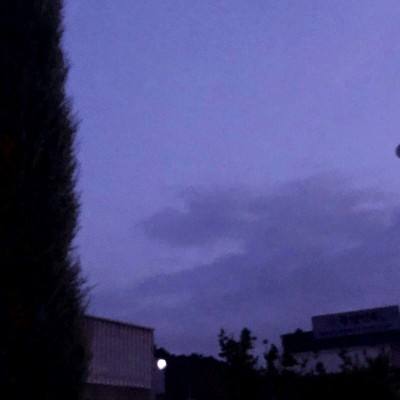 澳门精准正版资料大全截图