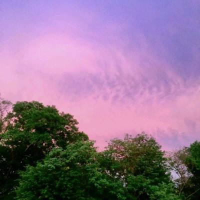 富康彩票旧版本下载安装