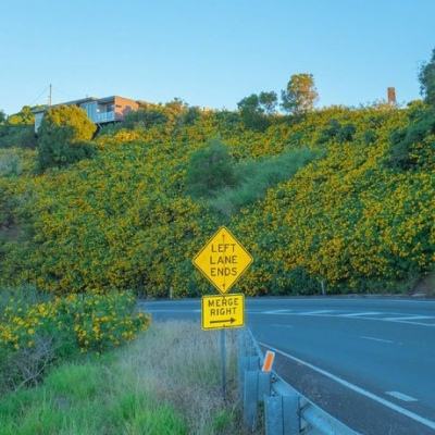 麻将胡了2游戏入口