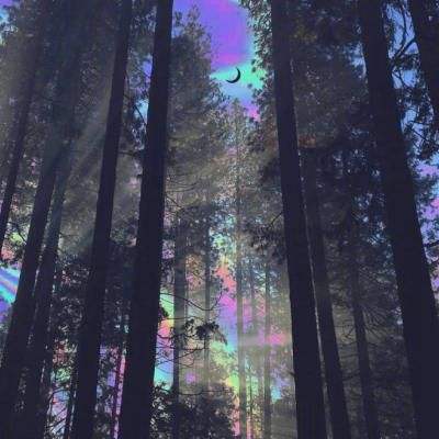 B体育登录APP下载