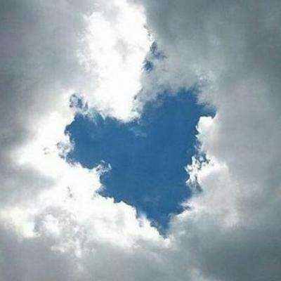 足球赌注软件手机app下载