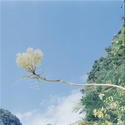 乐鱼app官网正式版下载