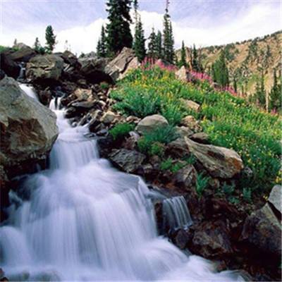 金年会官网手机版下载截图